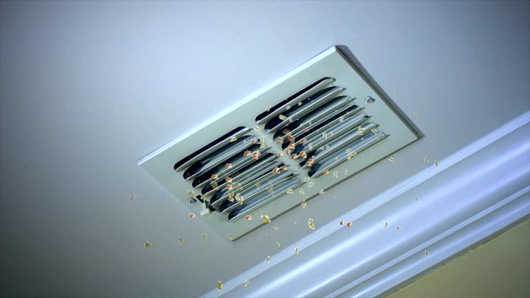 Best Air Duct Cleaning Near Me  in Ntgomery City, MO